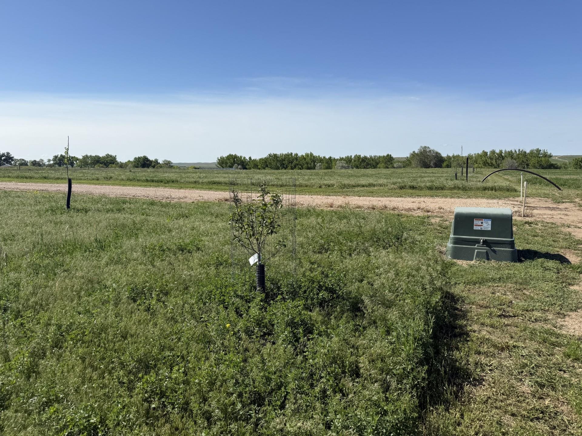 Land in Belle Fourche 5