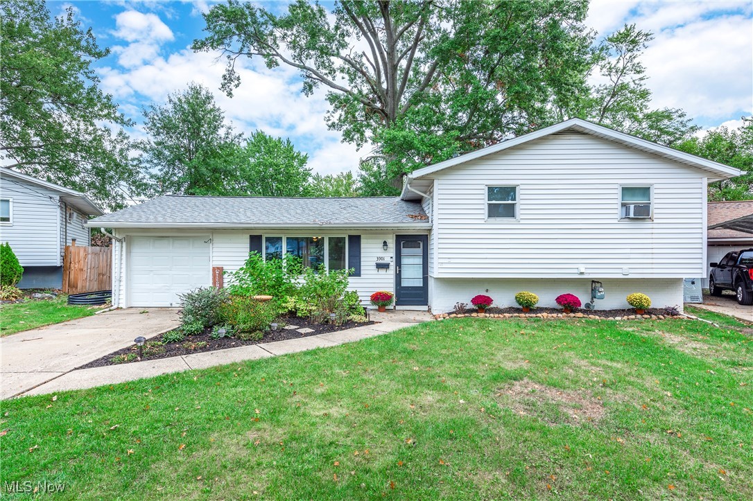 Caferro Ave, Lorain, OH 44055