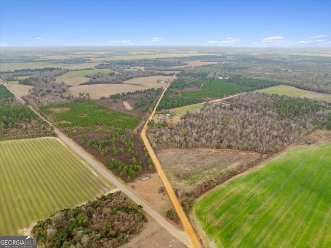0 Blue Springs Rd, Home with 0 bedrooms, 0 bathrooms and null parking in Sylvester GA | Image 7