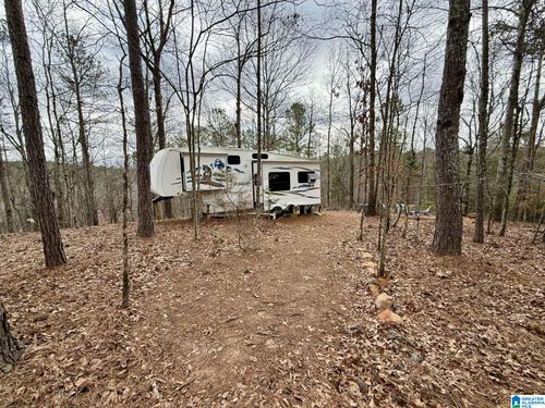 0 Foster Hills Dr, LINEVILLE, AL, 36266 | Card Image