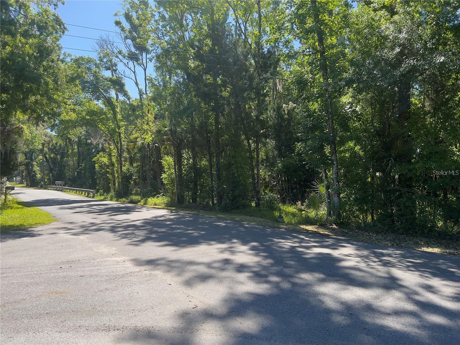 Land in CRYSTAL RIVER 4