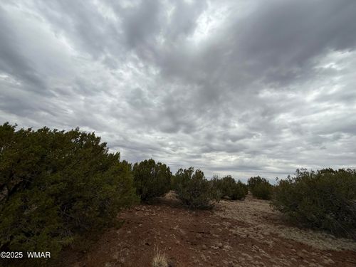 149 County Road 8057, Concho, AZ, 85924 | Card Image
