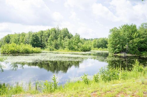 57 Pinewood Dr, Altona, NY, 12910-2812 | Card Image