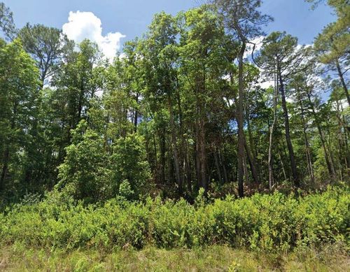 101 & 103 Longhorn Lane, Florahome, FL, 32140 | Card Image