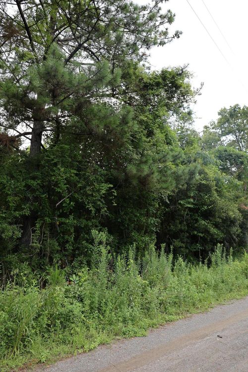 45 Partridge Rd, Kingstree, SC, 29556-7760 | Card Image
