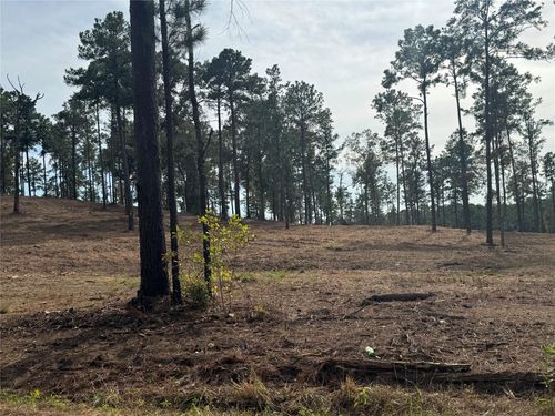 000896 County Road 219, Brookeland, TX, 75931 | Card Image