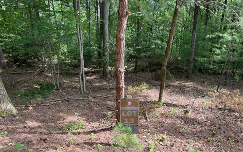 LOT13 Sour Apple Ln, Blairsville, GA, 30512 | Card Image