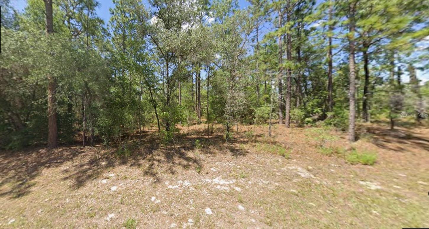 Land in CITRUS SPRINGS 2