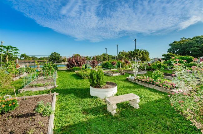 2001 Culberson Ave, House other with 3 bedrooms, 2 bathrooms and null parking in DUNEDIN FL | Image 60