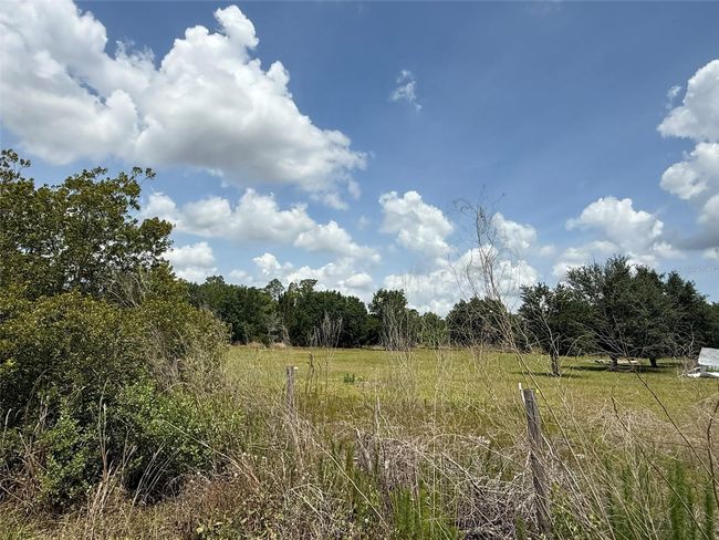 35215 Broken Bit Ln, House other with 3 bedrooms, 2 bathrooms and null parking in ZEPHYRHILLS FL | Image 41