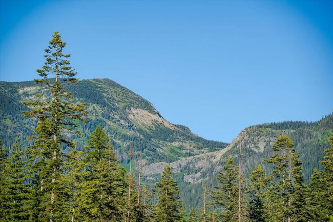 View of mountain backdrop with a heavily wooded area | Image 60