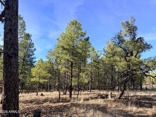 6-2397 Wigeon Way, Happy Jack, AZ, 86024 | Card Image