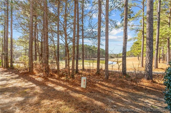 82 Pine Hawk Dr, Townhouse with 3 bedrooms, 3 bathrooms and null parking in Spring Lake NC | Image 14
