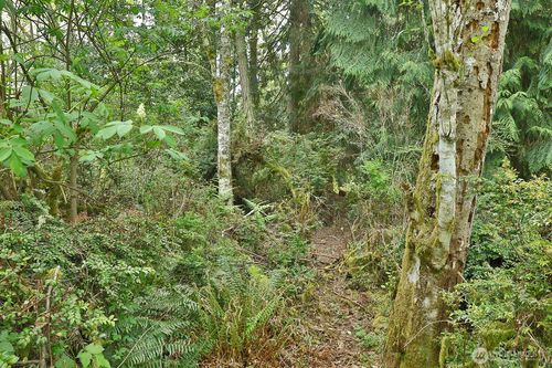 0 XXX Goss Lake Rd, Langley, WA, 98260 | Card Image