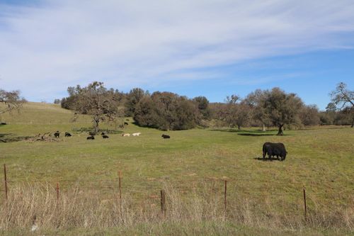 4272 Baldwin Ct, Valley Springs, CA, 95252-9565 | Card Image