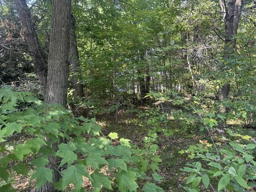 250 White Oak Ln, Wisconsin Dells, WI, 53965 | Card Image