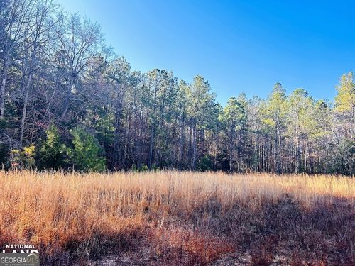 0 Ga Highway 90 W, Mauk, GA, 31058 | Card Image