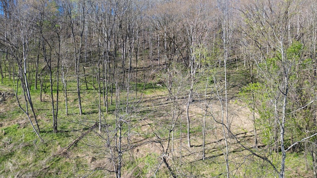 Land in Smithville 2