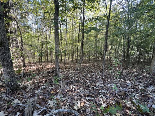 0 Tobaccoport Rd, Bumpus Mills, TN, 37028 | Card Image