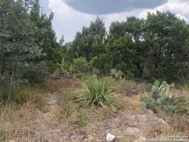 124 County Road 2801 E, Home with 0 bedrooms, 0 bathrooms and null parking in Mico TX | Image 16