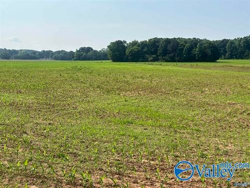 Tract 1 Old Railroad Bed Rd, Harvest, AL, 35749 | Card Image