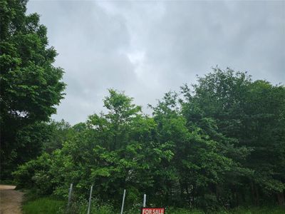 View of trees bordering property. | Image 2