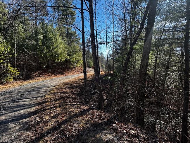209 Casey Mountain Rd, Home with 0 bedrooms, 0 bathrooms and null parking in Purlear NC | Image 9