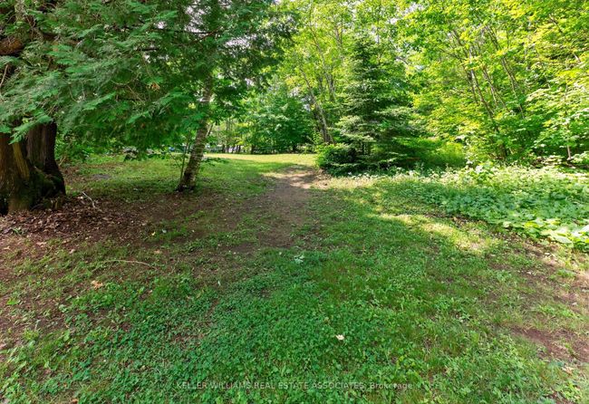 17377 35 Highway, House other with 3 bedrooms, 1 bathrooms and 8 parking in Algonquin Highlands ON | Image 30