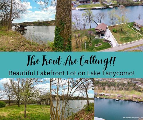 808 Sunset Rd, Branson, MO, 65616-2602 | Card Image