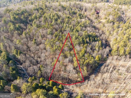 694-0 Satsuma Ct S, Ellijay, GA, 30540 | Card Image