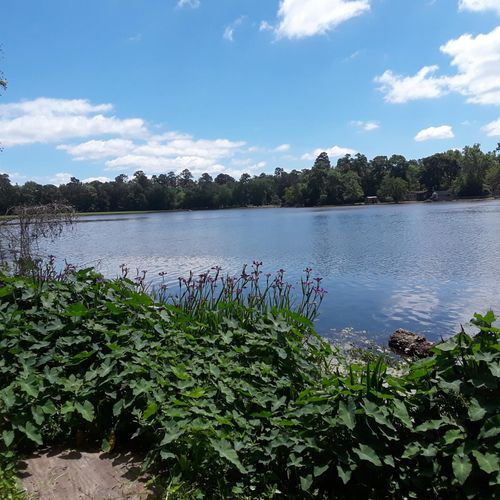 512 Navajo St, Montgomery, TX, 77316-4827 | Card Image