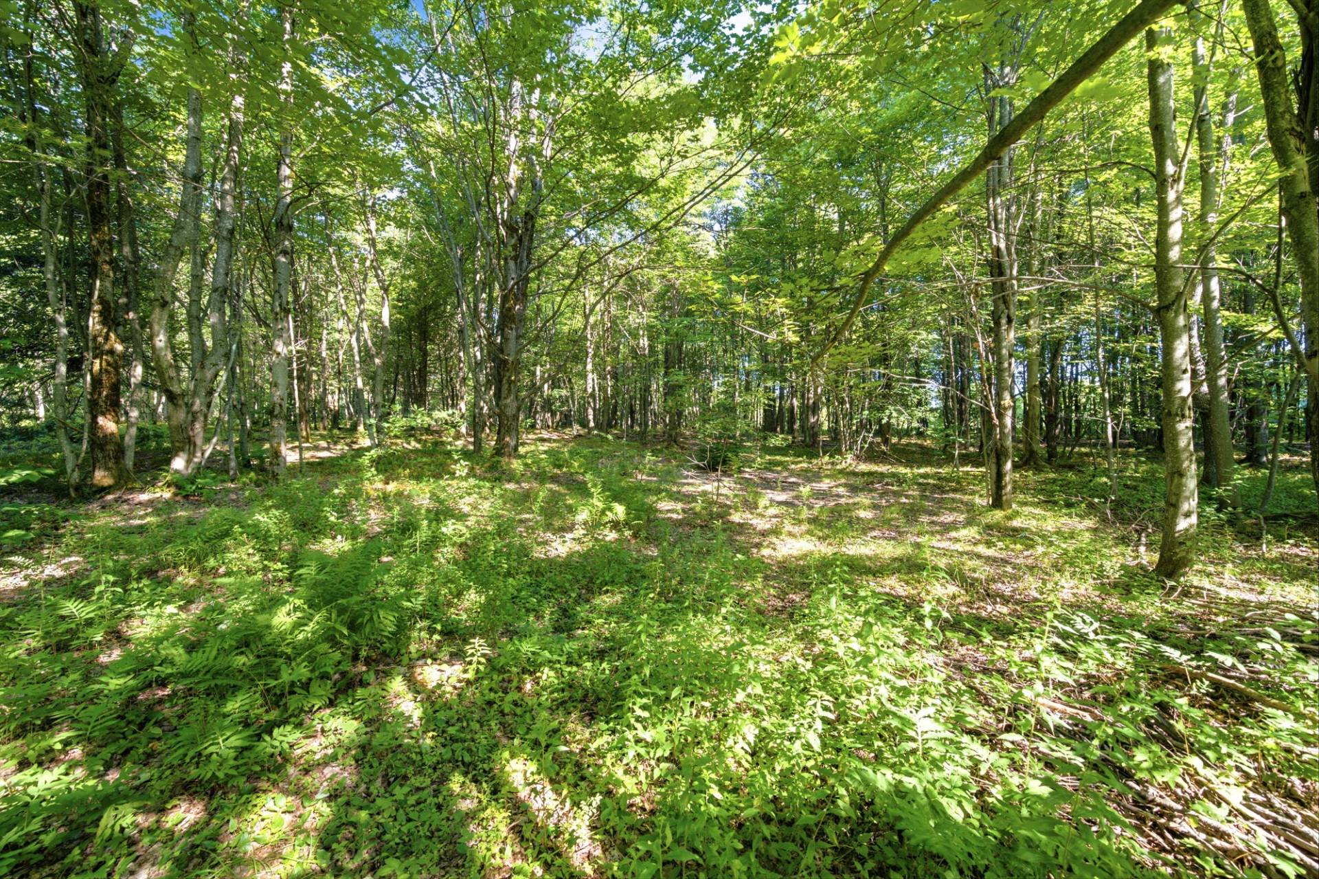 Land in Saint-Étienne-de-Bolton 4