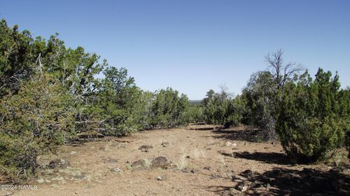 47-837 E Jackpine Ln, Williams, AZ, 86046 | Card Image