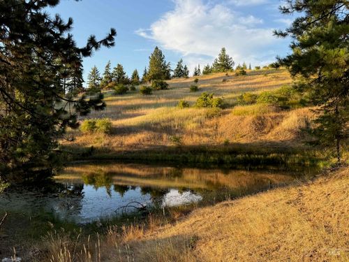 993 Norton Knob Ln, Orofino, ID, 83544-5500 | Card Image