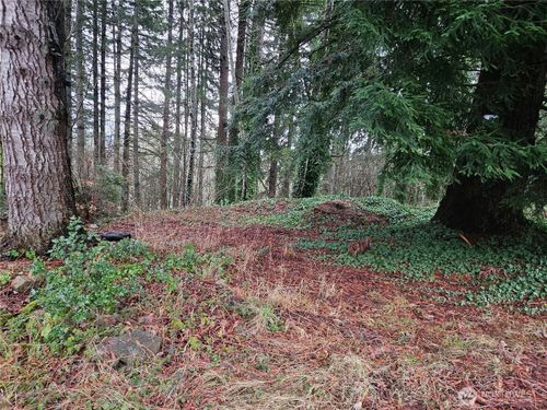 323 Ne Barbara Blvd, Belfair, WA, 98528-9464 | Card Image