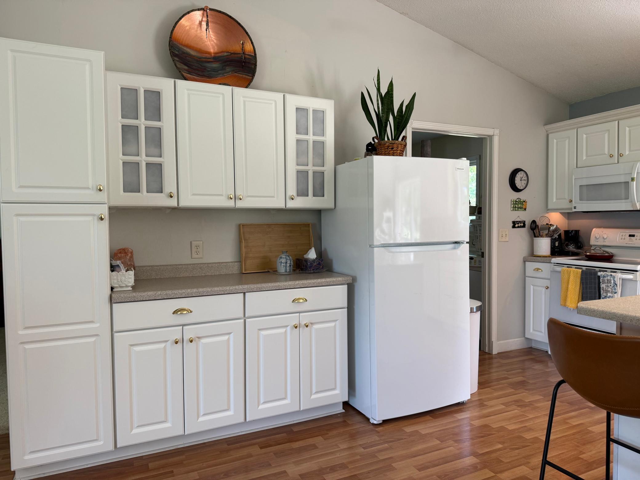Residential in Detroit Lakes 4