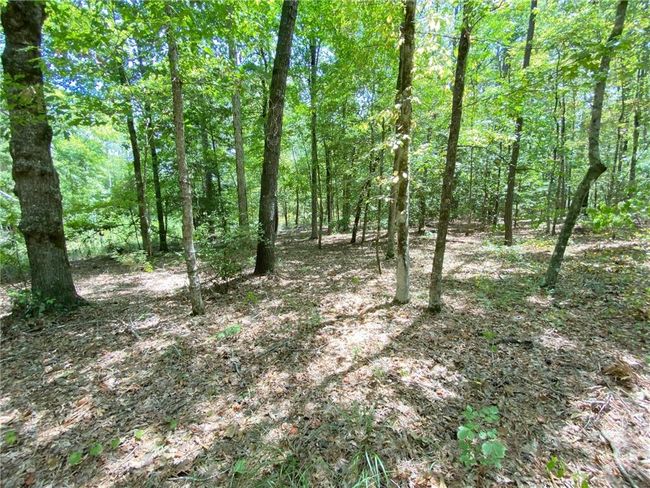 141 Buford Lashley Rd, House other with 1 bedrooms, 1 bathrooms and null parking in Atlanta LA | Image 9
