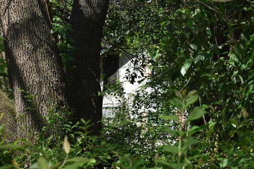 10946 Clover Ln, Frankston, TX, 75763-5408 | Card Image