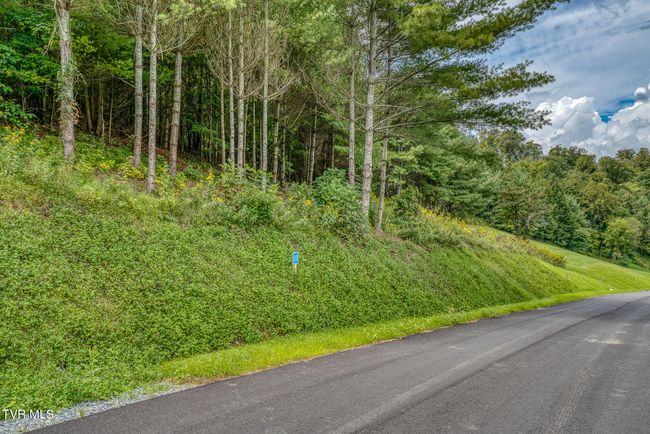 10 Cowan Town Rd, Home with 0 bedrooms, 0 bathrooms and null parking in Butler TN | Image 14