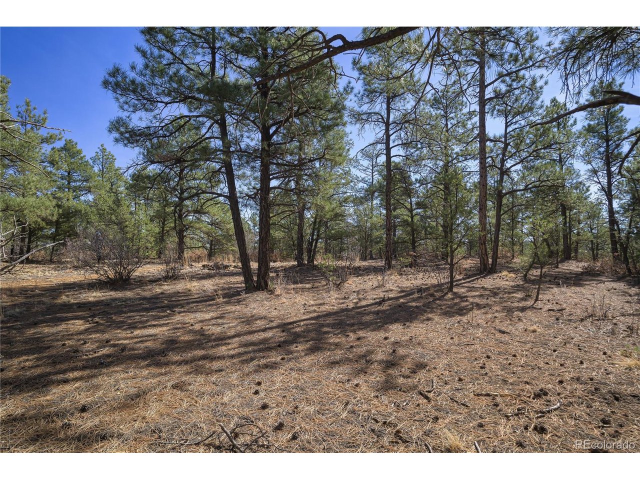 Land in Weston 4