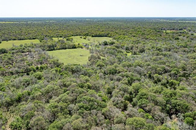 0 County Road 321, Home with 0 bedrooms, 0 bathrooms and null parking in Sweeny TX | Image 15