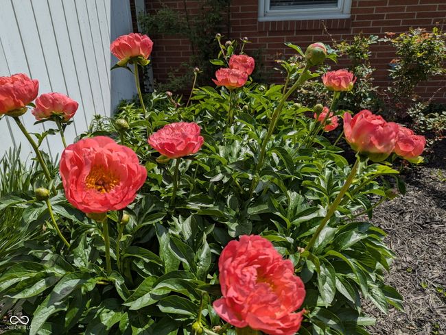 9461 N County Road 800 W, House other with 3 bedrooms, 2 bathrooms and null parking in Middletown IN | Image 59