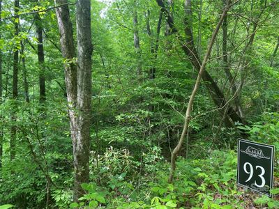 Lot 93 Alarka Highlands Drive, Home with 0 bedrooms, 0 bathrooms and null parking in Bryson City NC | Image 1