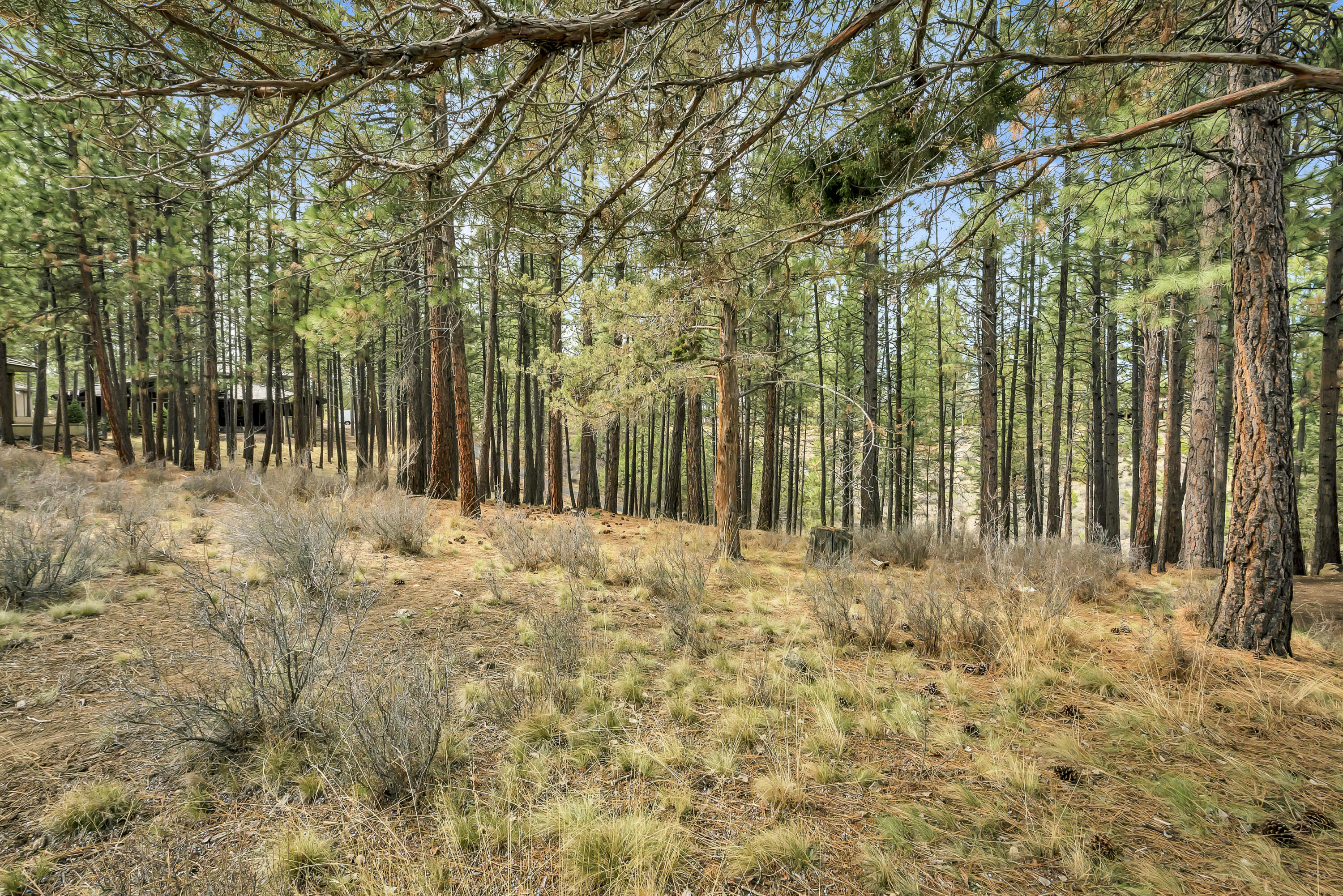 Land in Bend 5