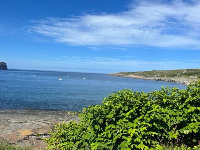 Land in Flatrock 3