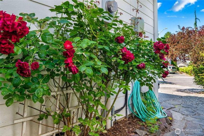24212 13 Th Pl W, House other with 4 bedrooms, 3 bathrooms and 2 parking in Bothell WA | Image 32