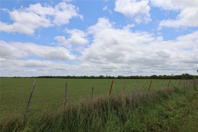 View of yard featuring fence and a rural view | Image 6