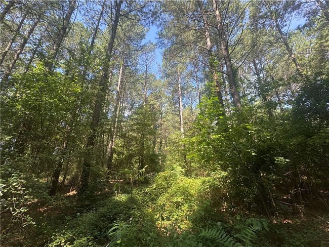3 Rogers Rd, Home with 0 bedrooms, 0 bathrooms and null parking in Pendleton SC | Image 6