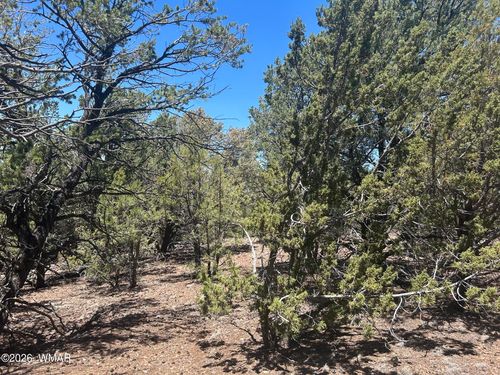 TBD Lot 37k, Vernon, AZ, 85940 | Card Image