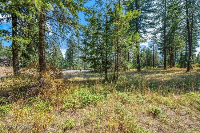 410 N Walden Loop, House other with 3 bedrooms, 4 bathrooms and null parking in Rathdrum ID | Image 38